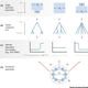 Population analysis of emerging Homo sapiens.
